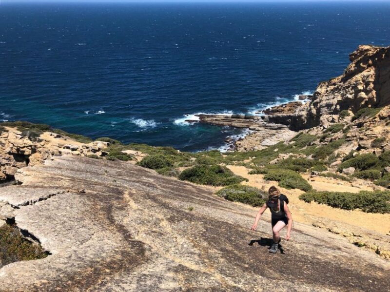 Hiking Tour Along the West Coastline - Who Should Consider This Tour?