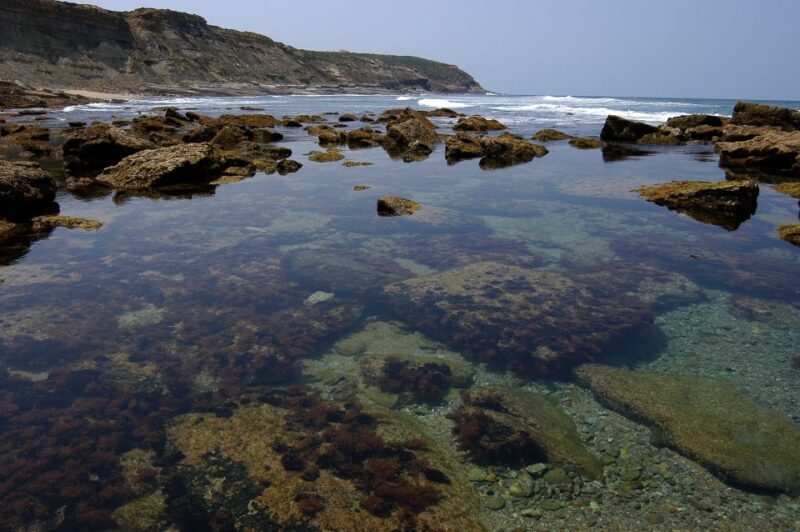 Hiking Tour Along the West Coastline - The Sum Up