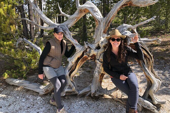 Hiking Tour: Hidden Gems | West Yellowstone | PRIVATE + Lunch - Key Points