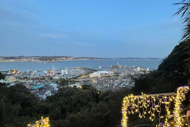 Hiking Tour in Enoshima with a Local Guide - Who Should Consider This Tour?