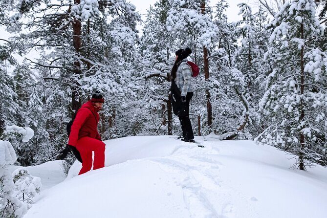 Hiking tour in Nuuksio National Park with meal and snacks - The Itinerary in Detail
