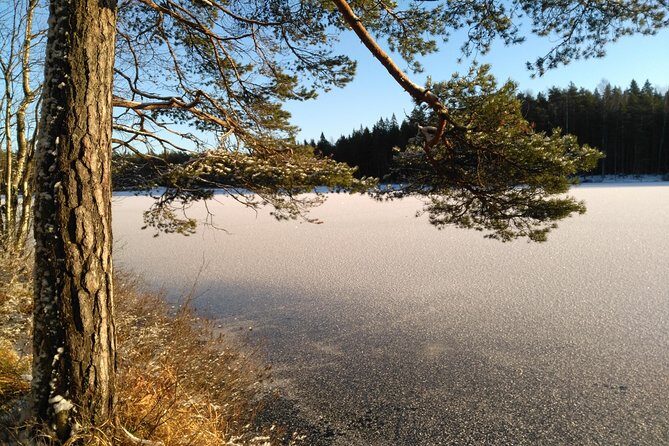 Hiking tour in Nuuksio National Park with meal and snacks - Experience Quality and Value
