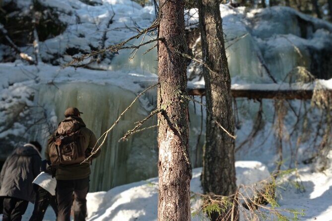 Hiking tour in Nuuksio National Park with meal and snacks - The Sum Up: Who Should Consider This Tour?