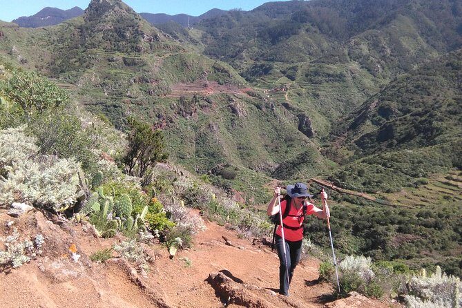 Hiking tour in the Anaga biosphere reserve in Tenerife - An In-Depth Look at the Hiking Tour in Anaga Biosphere Reserve
