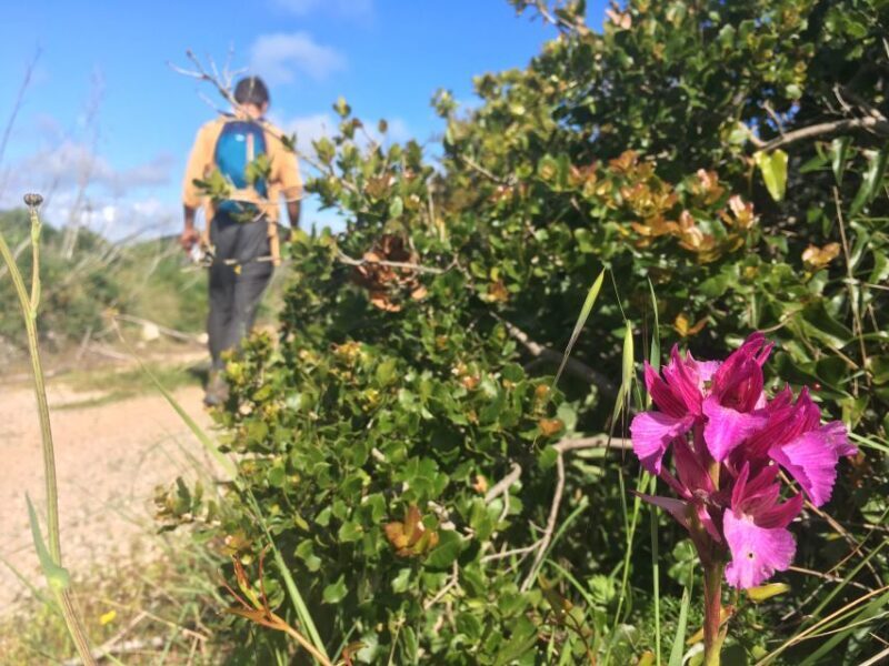 Hiking tour to Highest Limestone Cliff in Europe - Hiking to Europes Highest Limestone Cliff: A Complete Guide