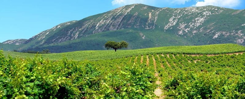 Hiking Tour to the highest point of Arrábida Mountain - Accessibility and Suitability