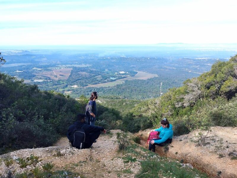 Hiking Tour to the highest point of Arrábida Mountain - Final Thoughts: Who Should Consider This Tour?