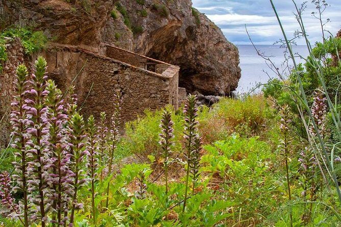 Hiking Tour to the Paradise Beach - The Practicalities: What’s Included and What to Expect