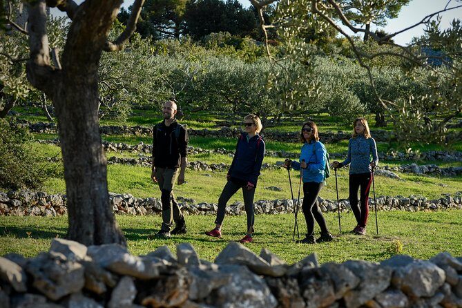 Hiking tour Vidova gora and visiting Museum of olive oil - Exploring Brac Island’s Finest: Hiking Vidova Gora & Visiting the Olive Oil Museum