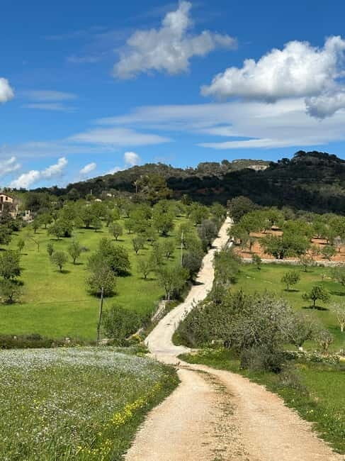 Hiking tour with a dream view of the former monastery of Sant Salvador, 3-4 hours. - Why This Tour Offers Great Value