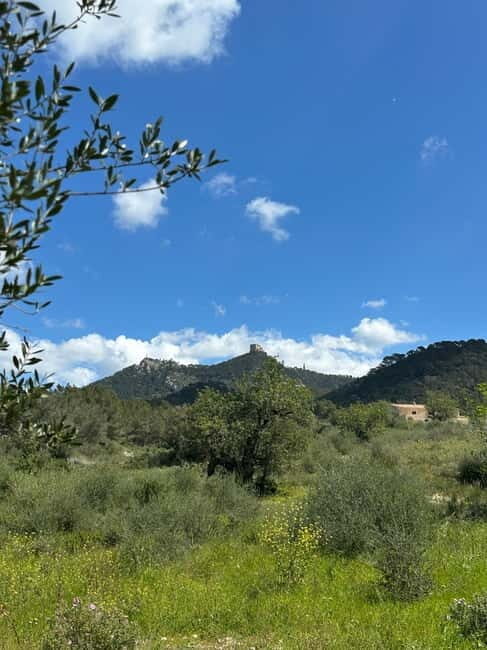 Hiking tour with a dream view of the former monastery of Sant Salvador, 3-4 hours. - What Past Participants Say