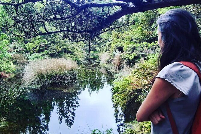 Hiking Trail Black Mysteries | Terceira Island - Exploring the Details of the Black Mysteries Trail