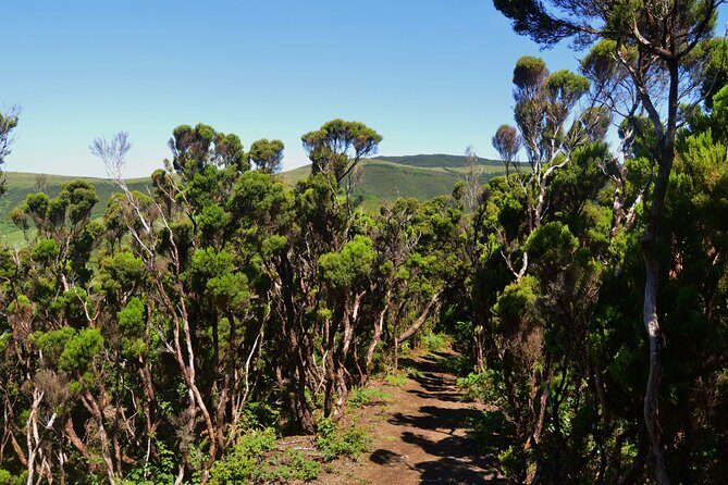 Hiking Trail: Passagem das Bestas - Terceira Island - Hiking Trail: Passagem das Bestas - Terceira Island