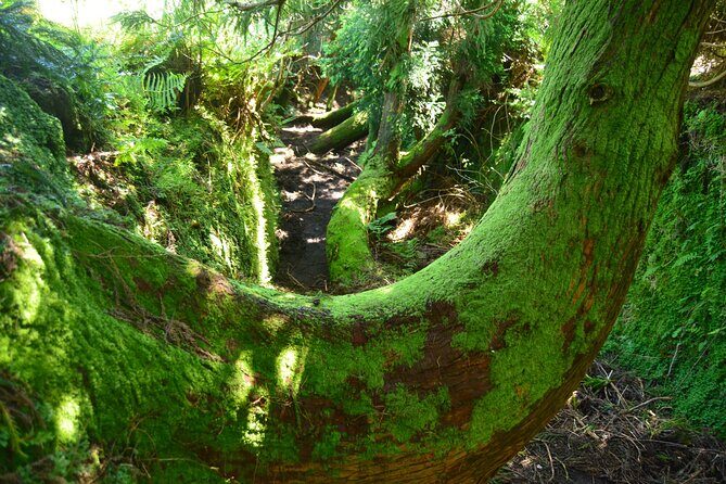Hiking Trail: Passagem das Bestas - Terceira Island - Key Points