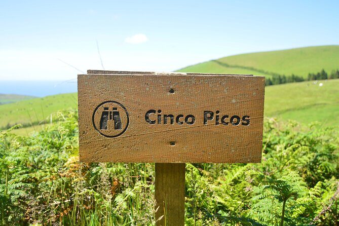 Hiking Trail: Passagem das Bestas - Terceira Island - Who Will Enjoy This Tour?