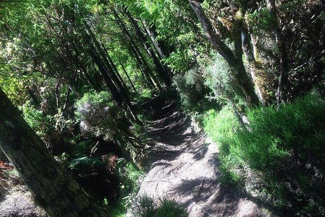 Hiking Trail Rocha Do Chambre | Terceira Island - FAQ