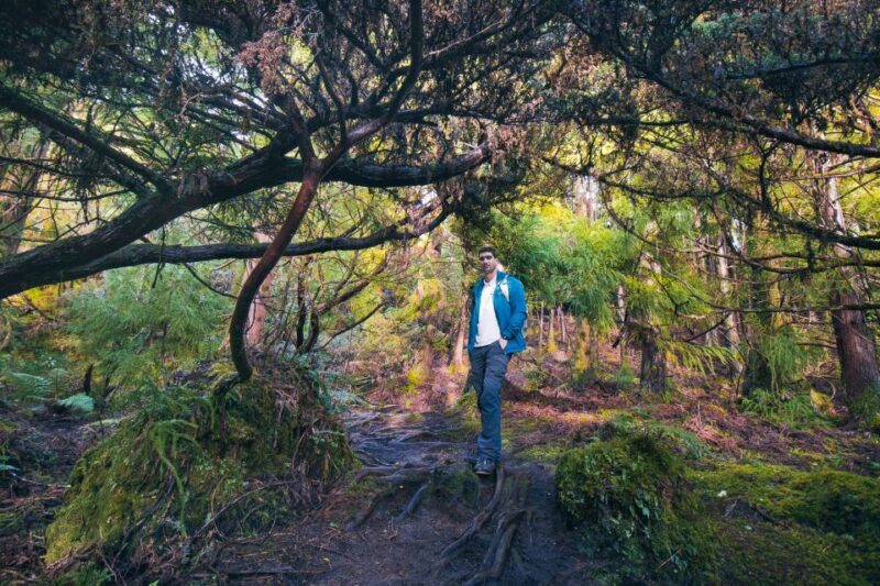 Hiking Trails - An In-Depth Look at the Hiking Experience on Terceira Island