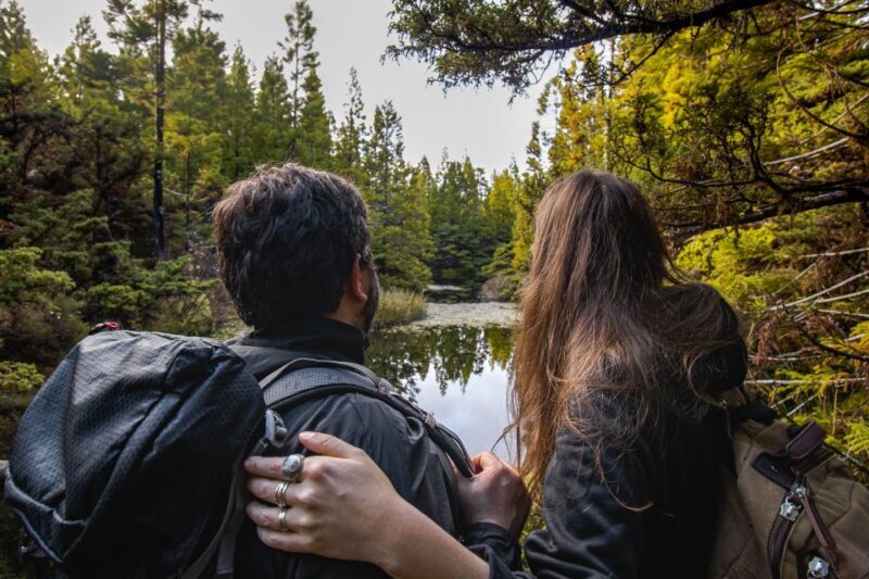 Hiking Trails - The Sum Up: Is This Tour Worth It?