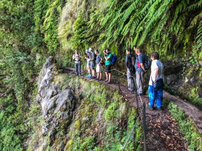 Hiking Trip with a Local - Discover Madeira’s Natural Beauty with a Private Hiking Trip