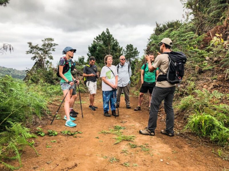 Hiking Trip with a Local - Who Will Love This Tour?
