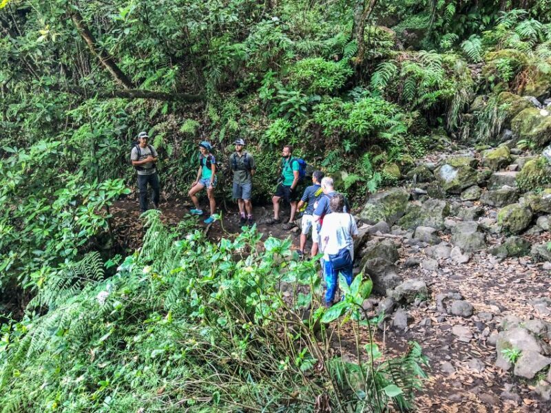 Hiking Trip with a Local - Final Thoughts