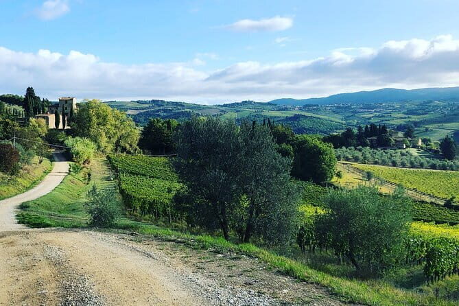 Hiking Tuscany & Chianti Wine - 3 Organic Wineries with lunch - Exploring the Heart of Tuscany: What to Expect