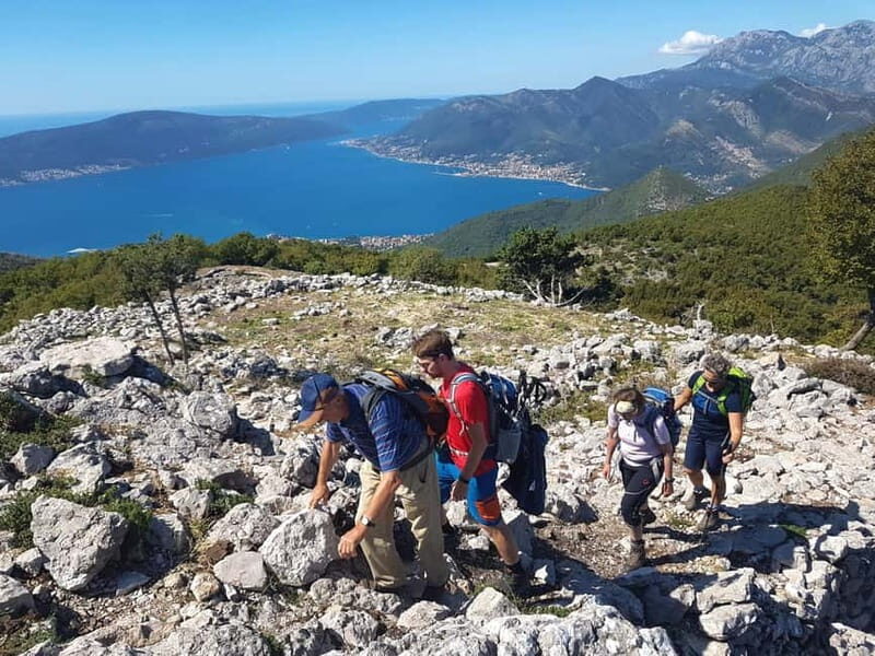 Hiking Vrmac peninsula with panoramic view on Kotor bay - What To Expect: Practical Details