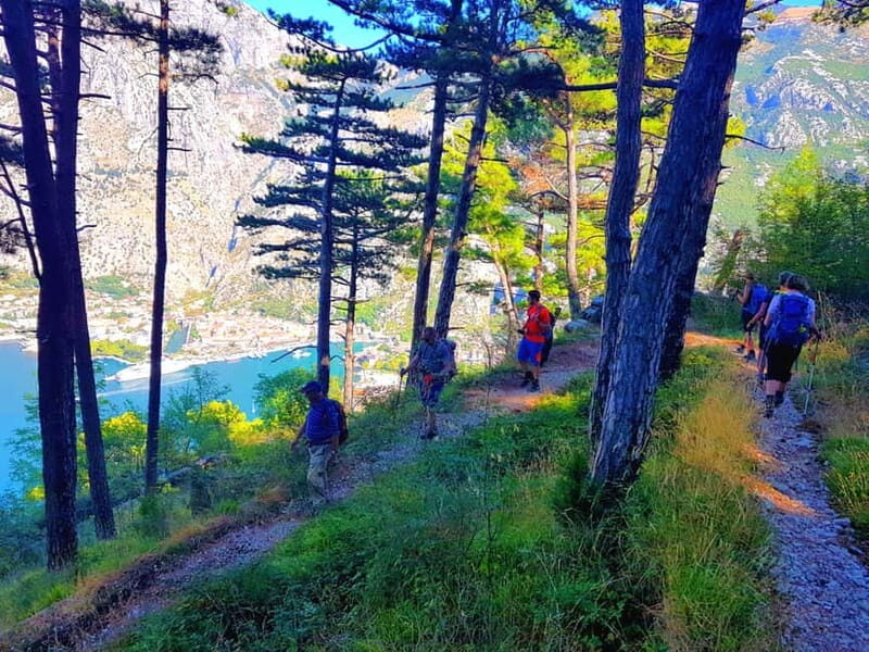 Hiking Vrmac peninsula with panoramic view on Kotor bay - Who should consider this tour?