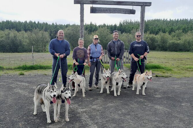 Hiking with Husky in Akureyri - A Thorough Look at the Experience