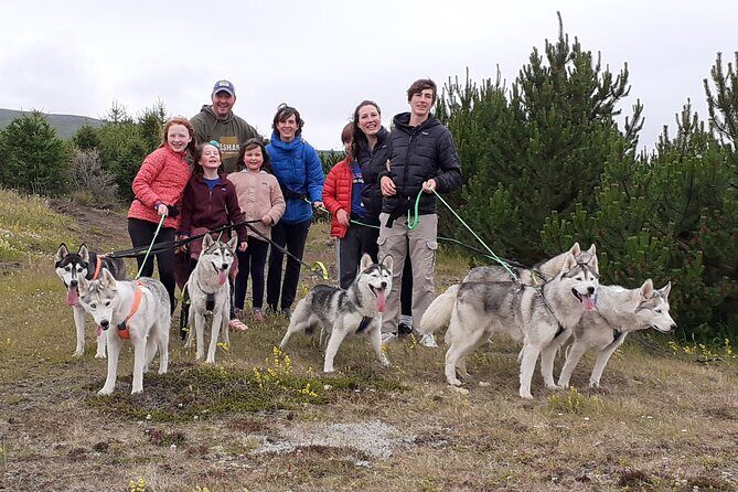 Hiking with Husky in Akureyri - Why This Tour Excels