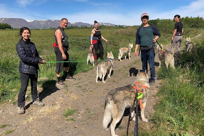 Hiking with Husky in Akureyri (private) - Who Will Love This Tour?