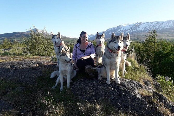 Hiking with Husky in Akureyri (private) - The Sum Up