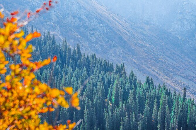 Hiking wonderland Ala Archa National Park - Exploring Ala Archa National Park: What to Expect