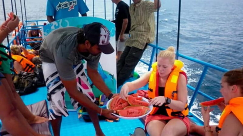 Hikkaduwa/Galle/Ahangama: Whale Watching Tour in Mirissa - Key Points