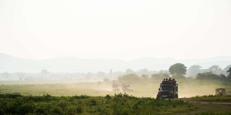 Hikkaduwa/Galle/Weligama/Mirissa: Yala National Park Safari - Why This Tour Stands Out