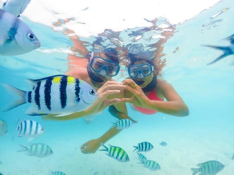 Hikkaduwa Snorkeling Tour: 2 Hours of Underwater Adventure - Key Points