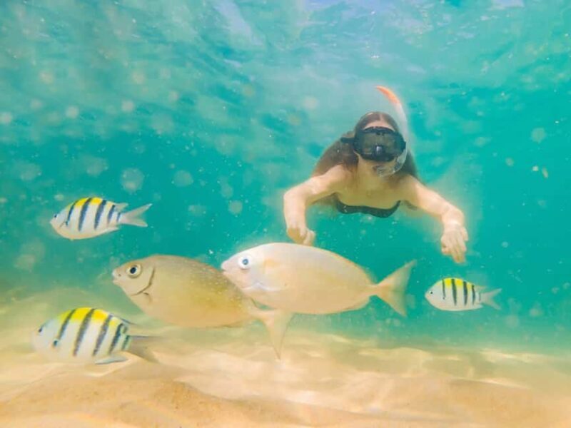 Hikkaduwa Snorkeling Tour: 2 Hours of Underwater Adventure - Practical Details and Logistics
