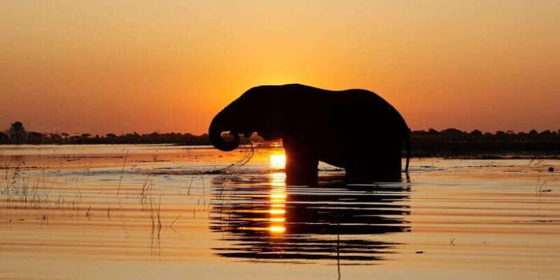 Hikkaduwa/Unawatuna/Weligama/Mirissa - Yala Safari & to Ella - Final Thoughts