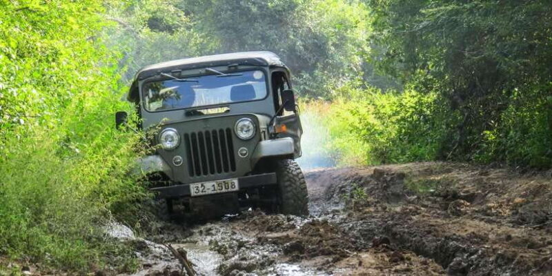 Hikkaduwa: Yala National Park Safari with Hotel Pickup - Key Points