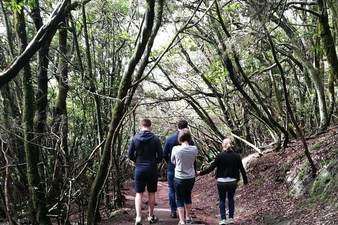 hikking tour in Anaga - Hiking Tour in Anaga: An Authentic Walk Through Tenerife’s Green Heart