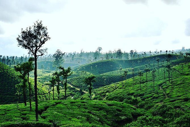 Hill Station Tour from Coimbatore to Valparai - 2 days - Key Points