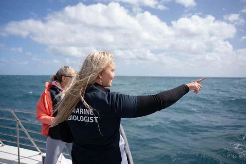 Hillarys Boat Harbour 2-Hour Whale Watching Cruise - 09:00am - Setting the Scene: What to Expect on this Whale Watching Cruise