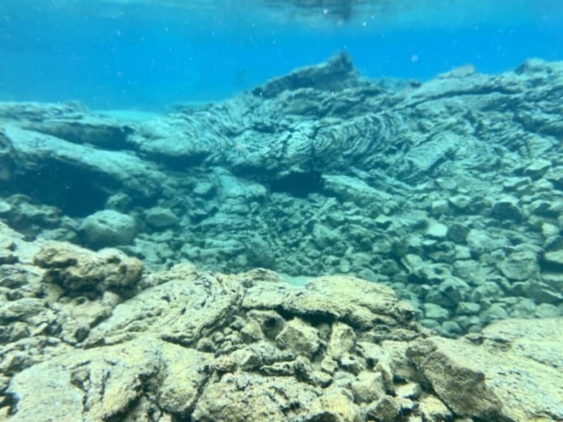 Hilo: 2 Tank Remote Reefs Diving Trip with Snacks and Drinks - Final thoughts