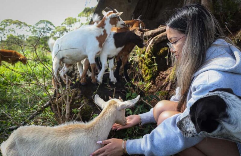 Hilo: Big Island Family Farm & Culture UTV Experience - An In-Depth Look at the Big Island UTV Experience