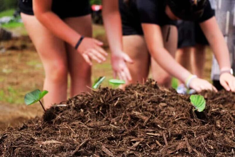 Hilo: Big Island Family Farm & Culture UTV Experience - Who Should Consider This Tour?