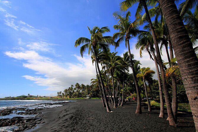 Hilo Highlights Private Sightseeing Tour - Who Will Love This Tour?