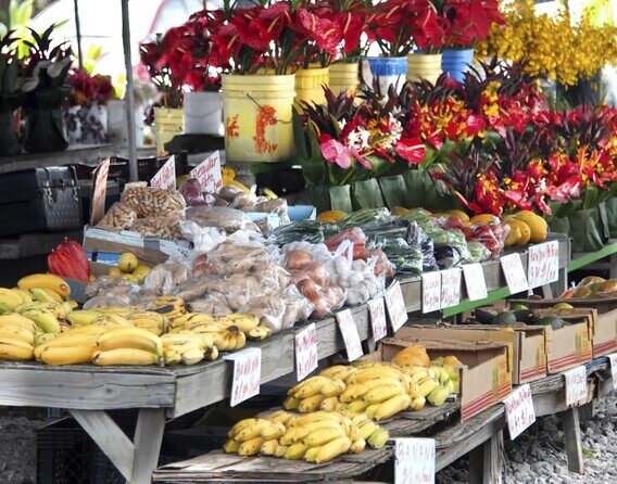Hilo History and Legends (APP) Audio Self Guided Walking Tour - Discovering Hilo Through Your Phone: The Self-Guided Hilo History and Legends Tour