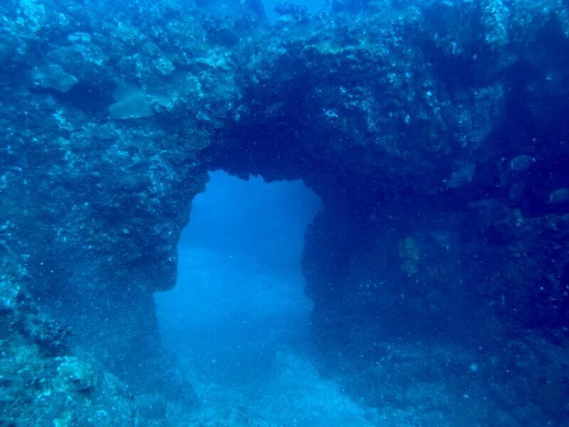 Hilo: Night Dive for Certified Divers - FAQ