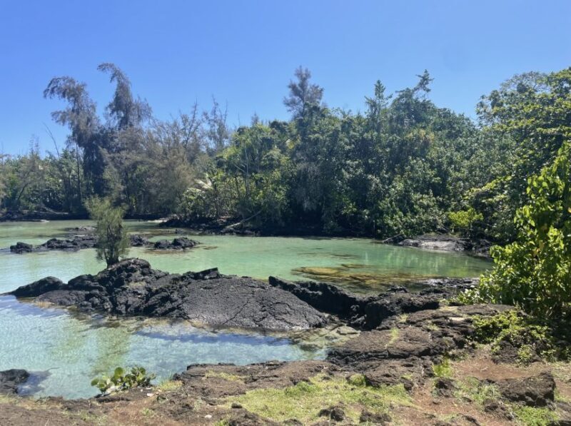 Hilo: Sea Turtle Lagoon and Black Sand Beach Snorkel - The Sum Up: Who Should Consider This Tour?