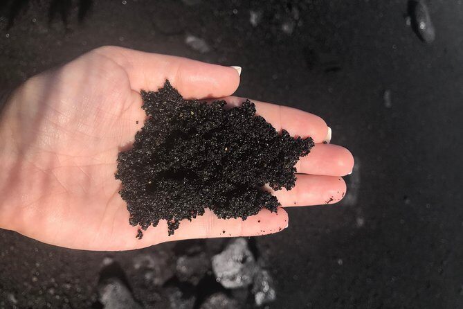 Hilo Shore Excursion: Safari Lava Caves, Falls and Highlights - Who Will Love This Tour?
